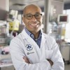 Which cells have the greatest potential to repair the lungs of pre-term babies?